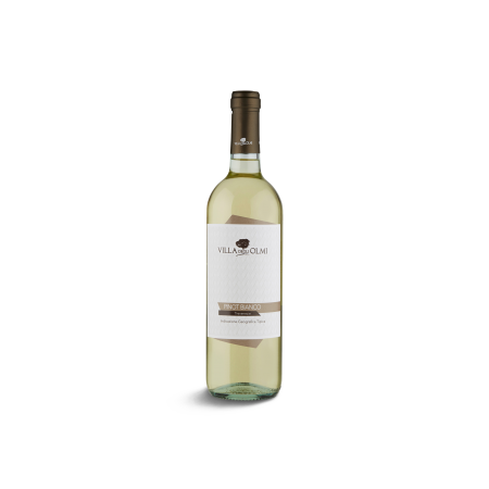 Pinot Bianco IGT Trevenezie